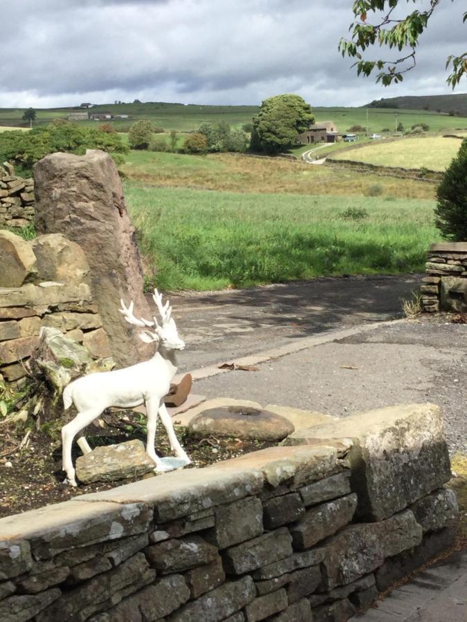 Cosy Rural Cottage Peak District, Pets Welcome Hollinsclough Екстериор снимка